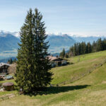 Bauland mit Panoramablick – Ihr Hauptwohnsitz auf der Rigi